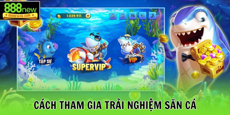 Cách tham gia trải nghiệm săn cá