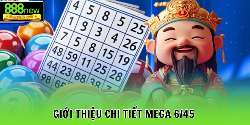 Giới thiệu chi tiết mega 6/45