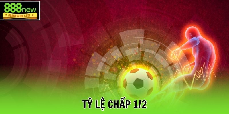 Tỷ lệ chấp 1/2