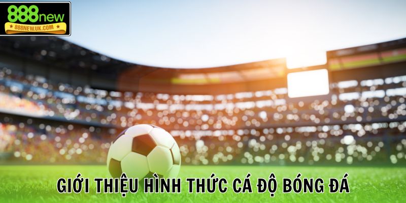 Giới thiệu hình thức kèo cược tài xỉu