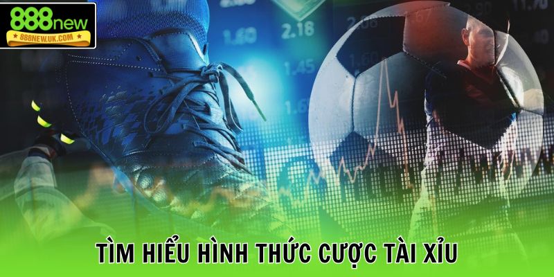 Tìm hiểu hình thức cược Tài Xỉu